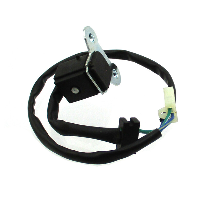 Pickup Coil Igniter Stator Trigger Ch250 Gy6 250cc Scoot Aac | Meses Sin Interés - Foto 3