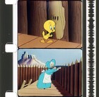 TOM TOM TOMCAT great TECHNICOLOR wb cartoon on 16mm film TWEETY/Sylvester 1953 — photo 1