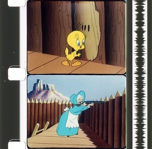 TOM TOM TOMCAT great TECHNICOLOR wb cartoon on 16mm film TWEETY/Sylvester 1953