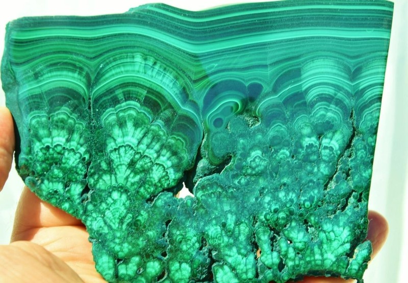 Beautiful Polished Malachite Minerals Slice Congo Crystal 129mm 5.1" 4220c xx