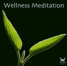 Wellness Meditation von Various | CD | Zustand sehr gut