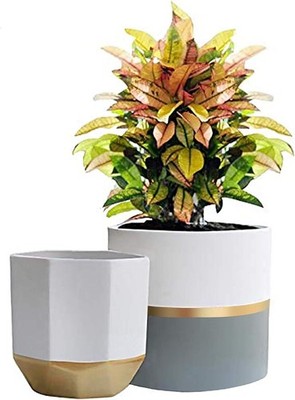 White Ceramic Flower Pot Garden Planters 6.7 Inch Pack 2 Indoor Plant Containers