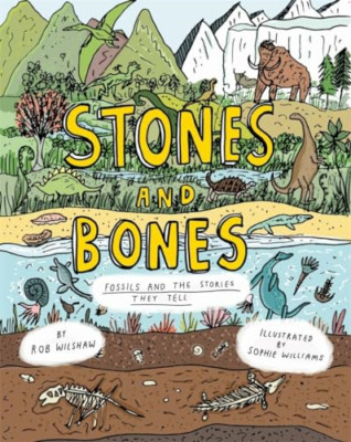 Steine und Knochen: Fossilien und die Geschichten, die sie erzählen - Gebunden NEU Wilshaw, Rob