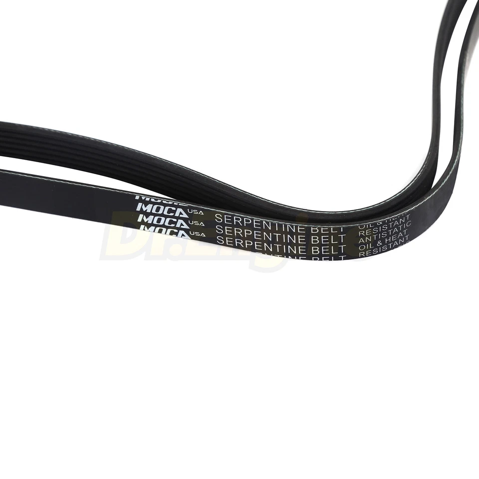 Cinturón serpentino EPDM apto para Chevrolet Camaro Corvette 1998-2015 3,6 L 5,7 L 6,2 L Foto 3 de 4