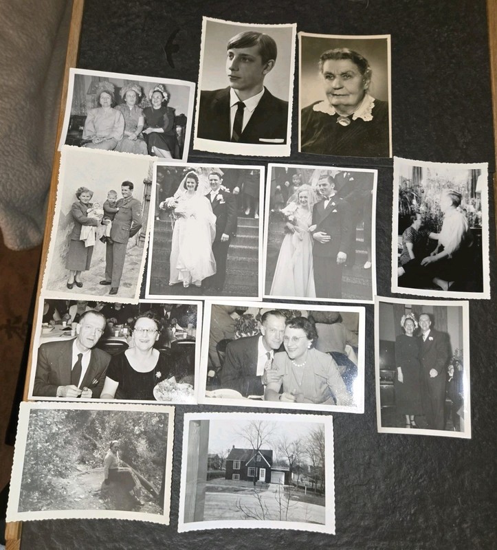 Lot Of 12 Black And White Photographs From The 1950s