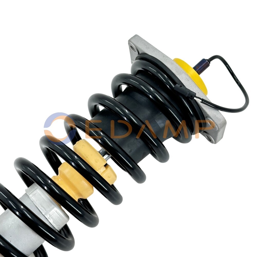 1x Rear Shock Absorber Strut Assys For Maserati Quattroporte M139 S Sport Gt 06-