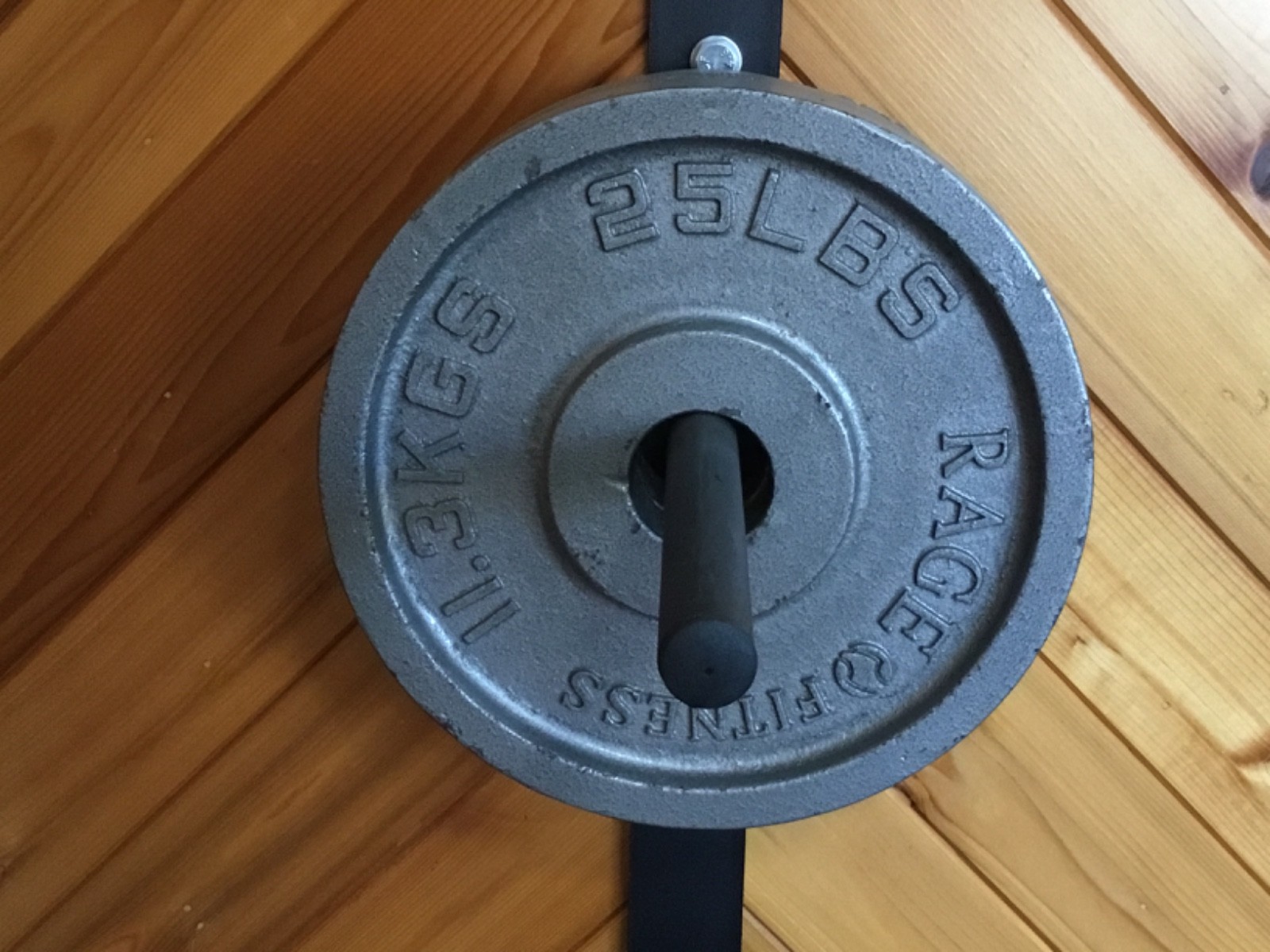 Pair of Rage Fitness 25 lb Olympic cast iron weight plates