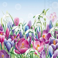 20 Servietten Crocus Light Blue Krokus SchneeglöCken Blumen FrüHling 33X33Cm