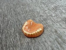 Vintage Dentures Lower False Teeth - Oddity Curiosity Prop