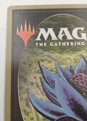 Time Walk - 30th Anniversary Edition Magic MTG Card R 83 30A