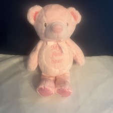 My First Bear Pink Rattle Plush Stuffed Animal 10" Kellytoy Soft Polyester