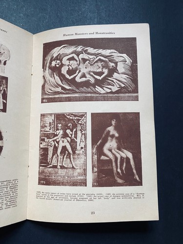 1935 - Sex Anatomy and the Technique of Coitus - Bruce - Rare - Paperback - Imagen 9 de 10