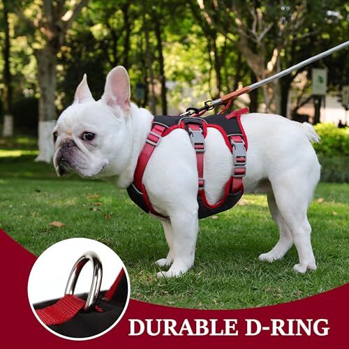 Escape Proof Dog Harness Small Medium Sized MChest 1525",Neck 1823