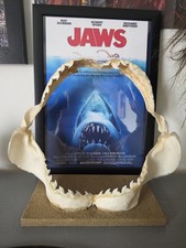 Tiger Shark Taxidermy Jaw Rare JAWS