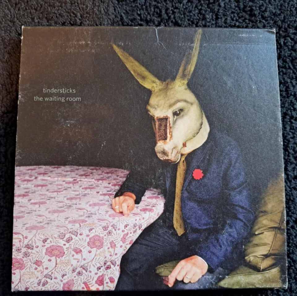 TINDERSTICKS The Waiting Room film project cd / DVD set 2016 City Slang - Bild 2 von 2