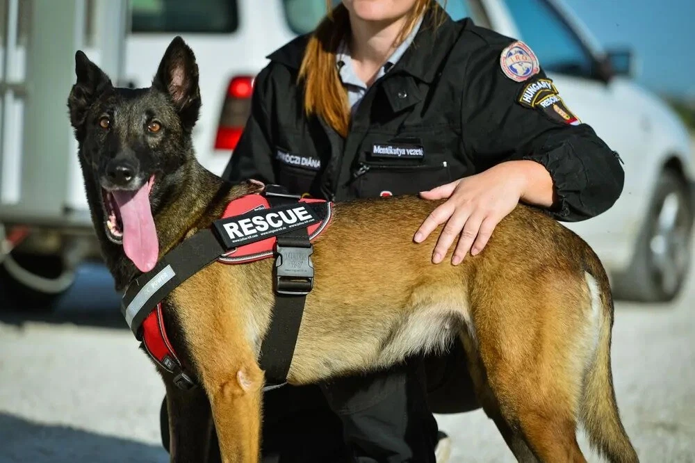 Julius k9 guide dog harness sales