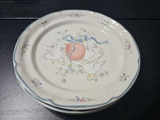 10" INTERNATIONAL Marmalade Dinner Plate ~ SOLD Separately ~ 
