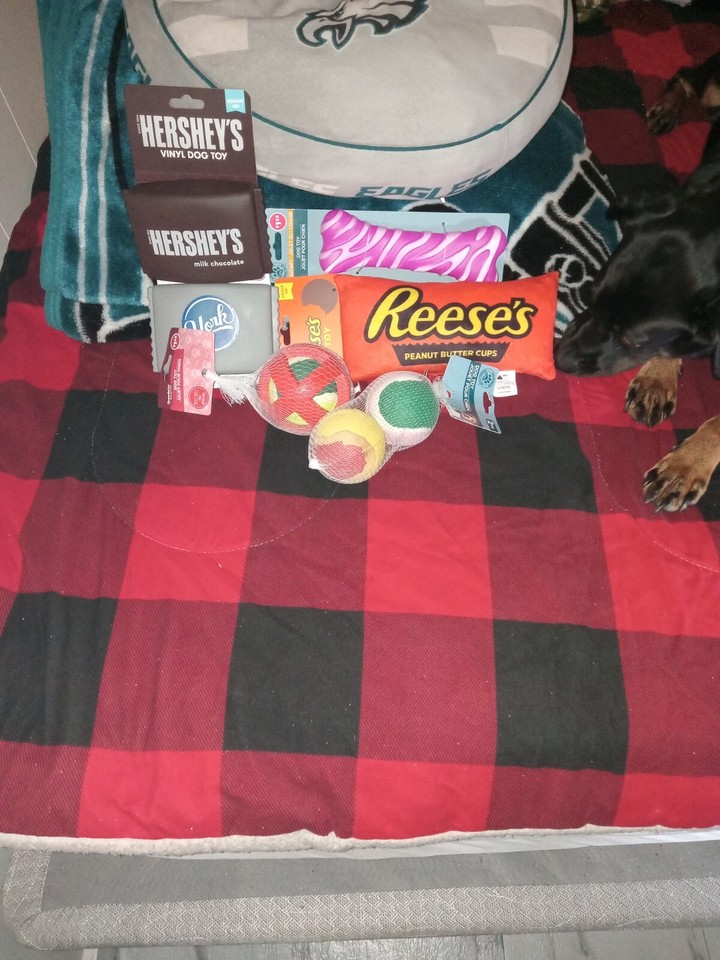 squeaky dog toys lot balls. Noisy toys eBay