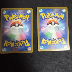 Pokémon Salamence Sar Grade Collectible Item