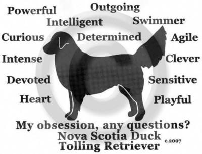 Nova Scotia Duck Toller Dog My Obsession, Any Questions? T-shirt Choices