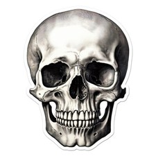 Human Skull, Vinyl Decal Sticker, Indoor Outdoor, 3 Sizes, 11799