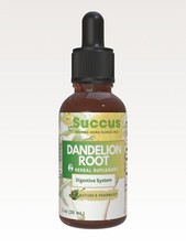 Dandelion Root Tincture - Digestive System