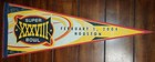 SUPER BOWL XXXVIII - Felt Pennant - WinCraft Sports - HOUSTON, TX - NFL — photo 1