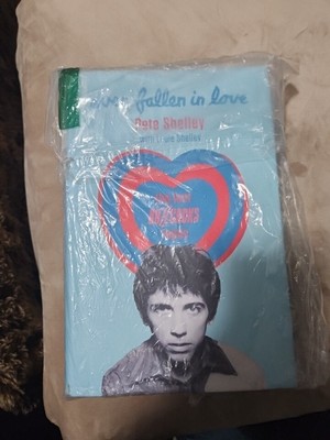 Ever Fallen in Love : The Lost Buzzcocks Tapes, (Hardcover) by Shelley, Pete 