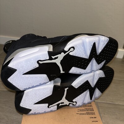 Nike Air Jordan 6 Retro Metallic Silver Black Chrome (DX2836-001