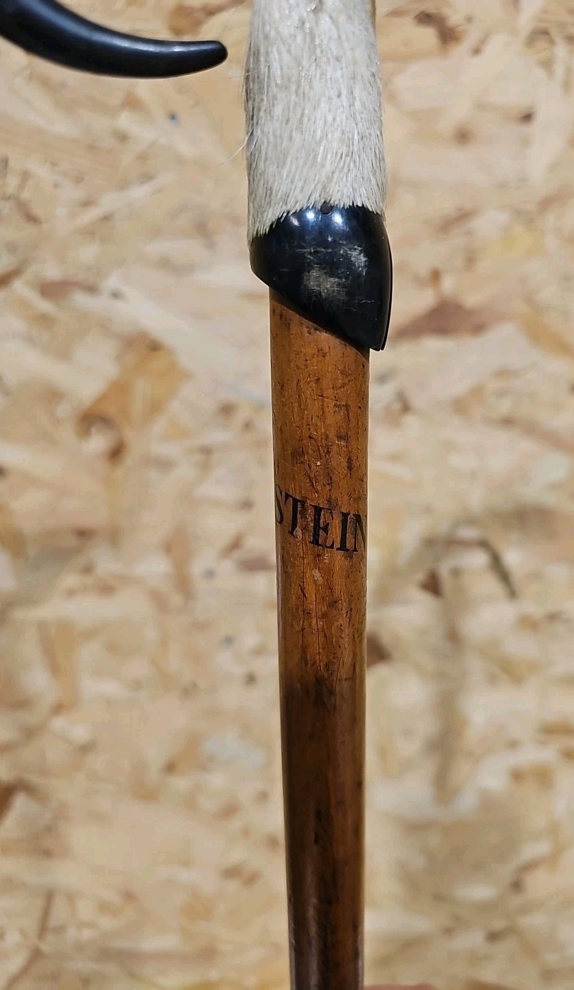 Antique Swiss Alpine Hiking/Walking Stick Goat Horn & Hoof Handle — image 13