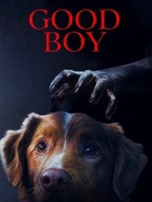 Good Boy (2025) DVD, Brand New, Sealed, Presale