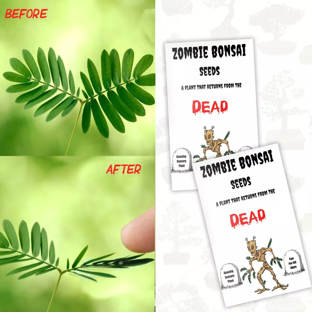 Zombie Plant Seeds