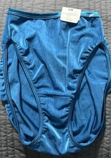 Vintage Satin Stretch Cabernet Hicut Panties Size 6 Bikini Shiny Second Blue Sof