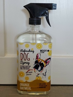 can dogs eat seafood