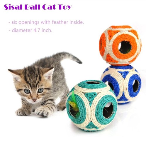cat inside ball