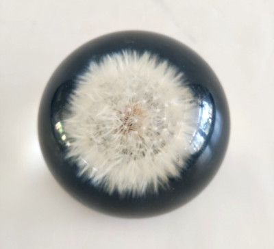 Vintage Tarax Infinity Dandelion Seed Puff Paperweight Handcrafted Canada 1970's