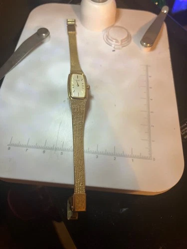 Seiko Womens Slim Watch Gold Tone 2e20-5010 (RO) New Battery, No Chain