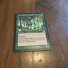rushwood elemental magic the gathering collectable card game MTG