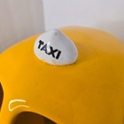 Foto 9 di 24