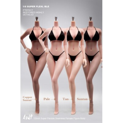 1/6 Female Makeup Seamless Body 12inch Large Bust Pale/Tan/Suntan Action Figure