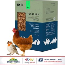 10 lb Dried Black Soldier Fly Larvae for Healthier Birds and Stronger Eggshells