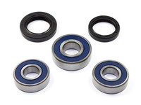 Radlager Satz 25-1650 Hinten FüR BMW F 650 ST F650 F650ST F Baujahr 1993 - 1999