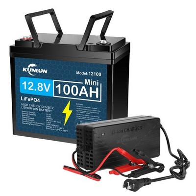 12V 100Ah LiFePO4 Lithium Battery Only/20A Charger Only/Combo for Golf Cart Lot