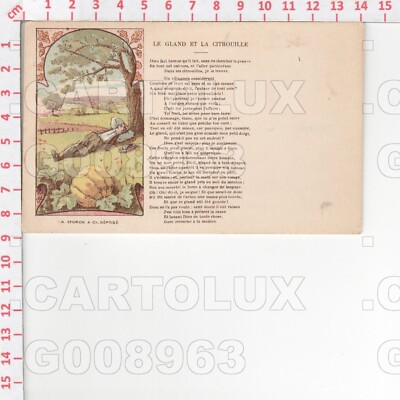 G8963 ILLUSTRATORE FAOLA DE LA FONTAINE LE ACORN ET LA PUMPKIN 1910 STORCK