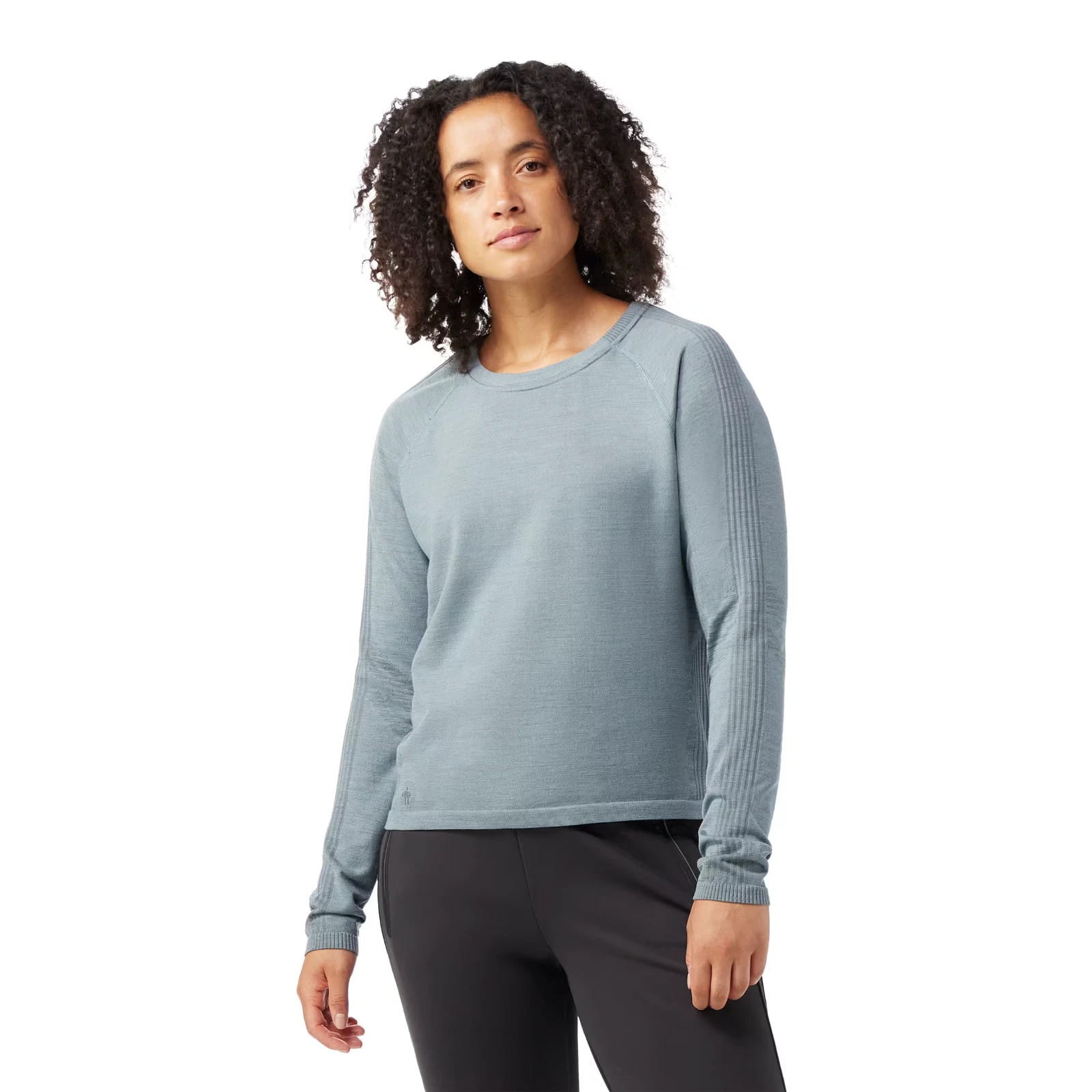 NWT Women's Smartwool Intraknit Active Seamless LS Base Layer Top Size: Small