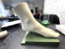 Vintage Merck Benemid/Indocin Advertising Display Foot Anatomical Store Model