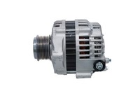 Bosch Lichtmaschine Generator FüR Nissan Patrol GR V Wagon Y61 3.0 Dti Terrano