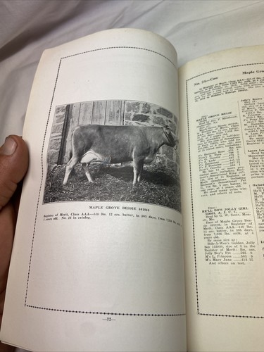 1923 Auction Sale Summit Farm Jersey Cattle Cow Booklet Muskogee OK Oklahoma - Picture 17 of 20