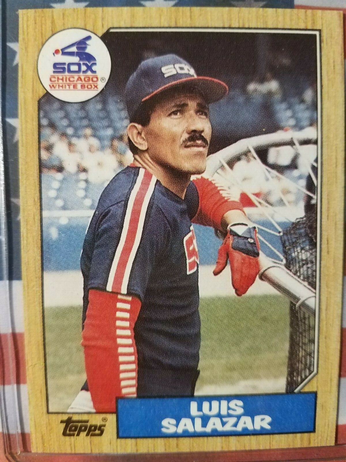 LUIS SALAZAR WHITE SOX 1987 TOPPS CARD #454 | eBay