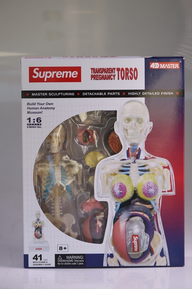 2018AW■新品■Supreme■Female Anatomy Model Supreme - Female Anatomy Model - UG.SHAFT